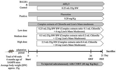 Potential antidepressant effects of a dietary supplement from the chlorella and lion's mane mushroom complex in aged SAMP8 mice